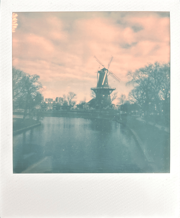 Polaroid from Leiden, 2026